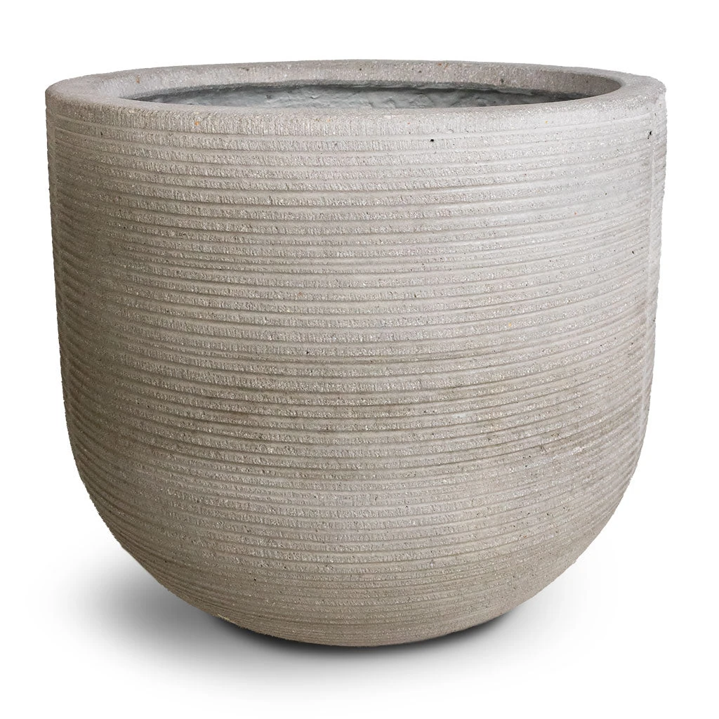 Cody Ridged Plant Pot - Cement 7 Cody Ridged Plant Pot - Cement - Image 5