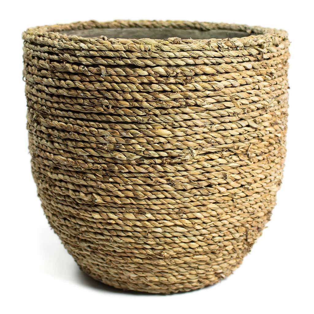 Cody Plant Pot - Straw Grass 12 Cody Plant Pot - Straw Grass - Image 10