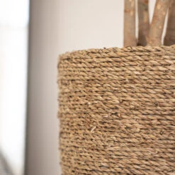 Cody Plant Pot - Straw Grass 29 Cody Plant Pot - Straw Grass -Plant Promotion Store Cody Plant Pot Straw Grass 3