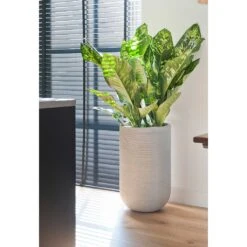 Cody Ridged Tall Planter - Cement 15 Cody Ridged Tall Planter - Cement -Plant Promotion Store Cody Plant Vase Ridged Cement Dieffenbachia