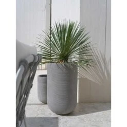 Cody Ridged Tall Planter - Dark Grey -Plant Promotion Store Cody Tall Planter Ridged Dark Outdoor Palm