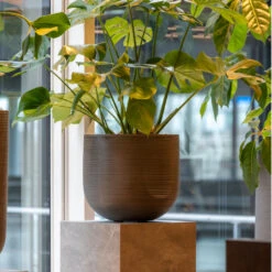 Cody Ridged Plant Pot - Dark Grey -Plant Promotion Store CodyPlantPot RidgedDarkGrey 6