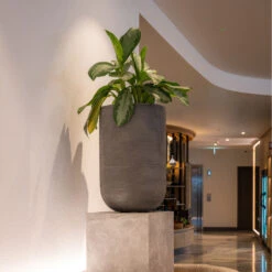 Cody Ridged Tall Planter - Dark Grey -Plant Promotion Store CodyPlantVase RidgedDarkGrey 1