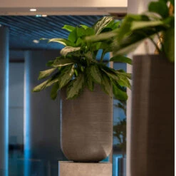 Cody Ridged Tall Planter - Dark Grey -Plant Promotion Store CodyPlantVase RidgedDarkGrey 6