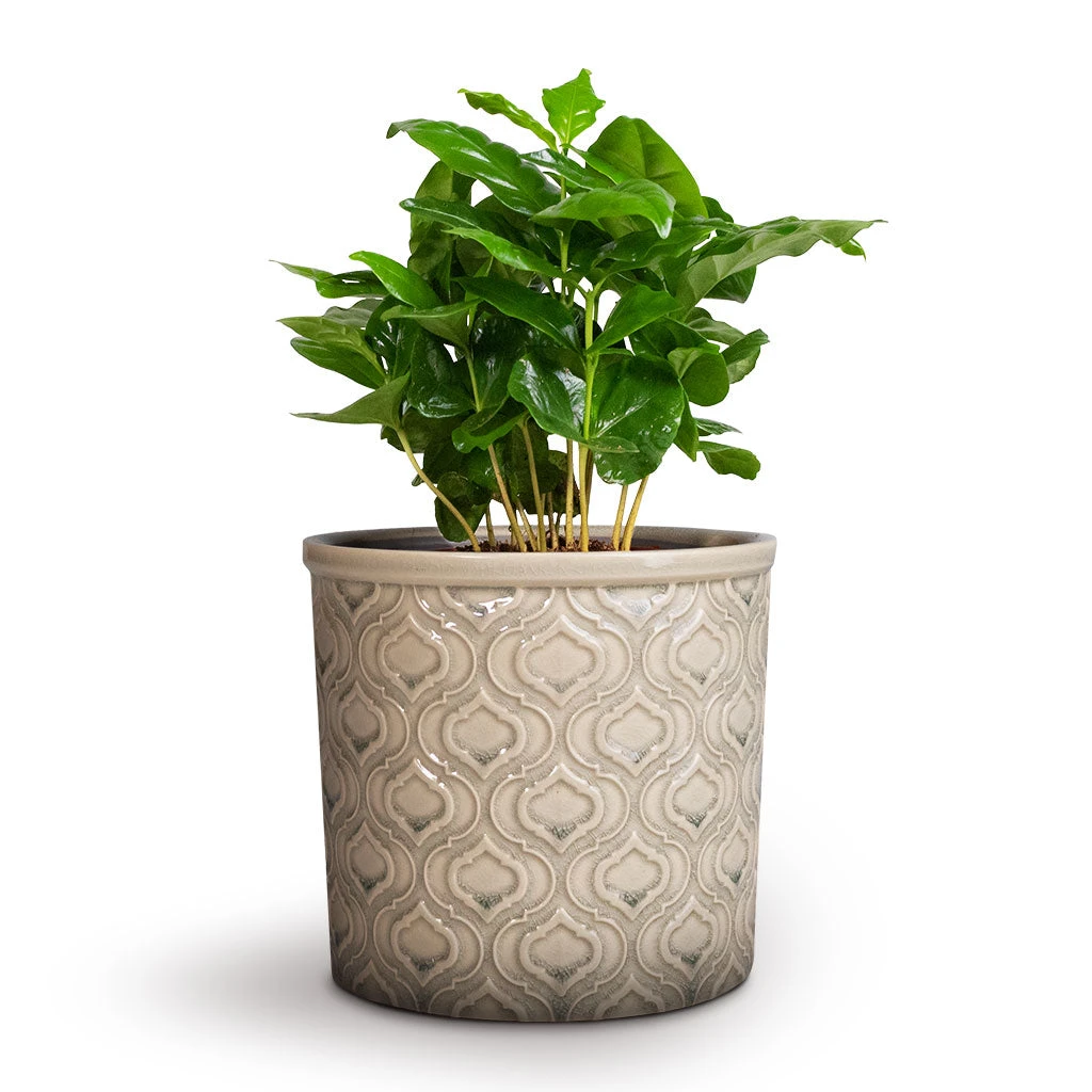 Venetian Plant Pot - Grey 5 Venetian Plant Pot - Grey - Image 3