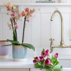 Copenhagen Plant Pot - Aqua 21 Copenhagen Plant Pot - Aqua -Plant Promotion Store Copenhagen Plant Pot Aqua 15.5 x 16cm