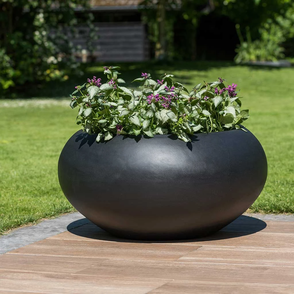 Cora Natural Bowl Planter - Black 4 Cora Natural Bowl Planter - Black - Image 2