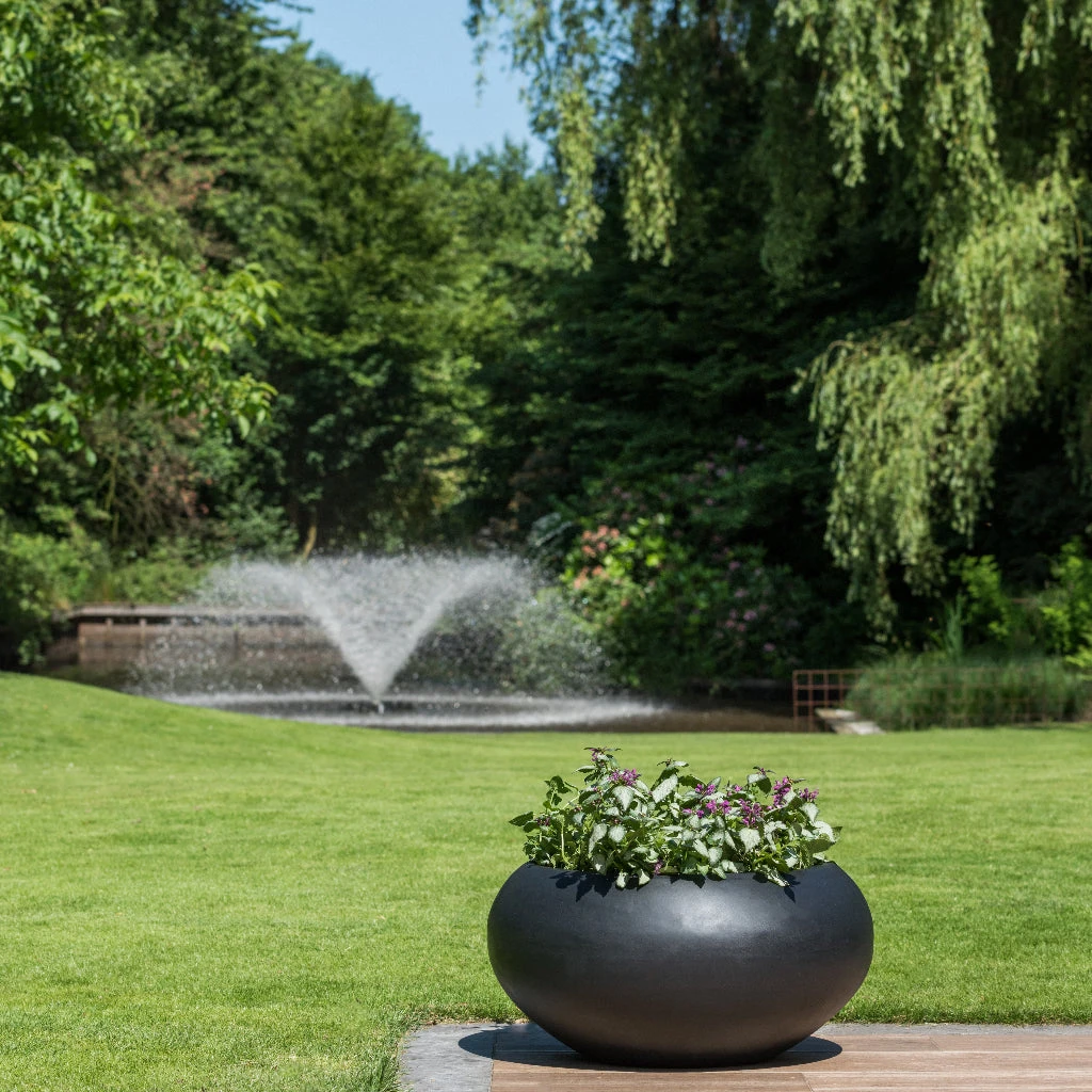 Cora Natural Bowl Planter - Black 8 Cora Natural Bowl Planter - Black - Image 6