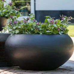 Cora Natural Bowl Planter - Black 13 Cora Natural Bowl Planter - Black -Plant Promotion Store CoraNaturalBowlPlanter Black 5