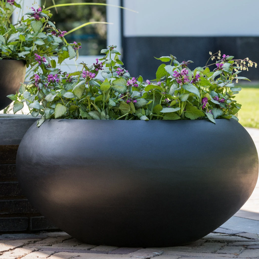 Cora Natural Bowl Planter - Black 7 Cora Natural Bowl Planter - Black - Image 5