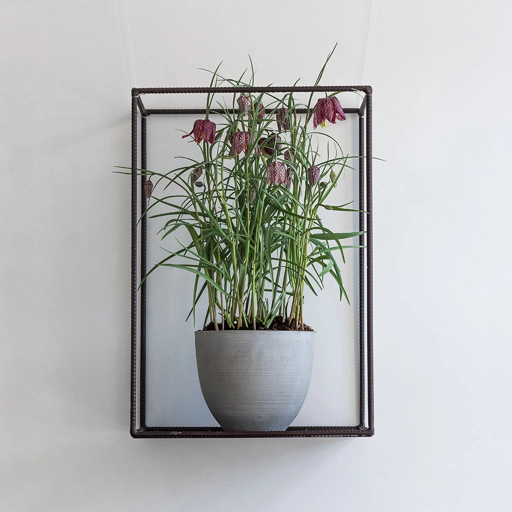 Coral Refined Planter - Clouded Grey 5 Coral Refined Planter - Clouded Grey - Image 3