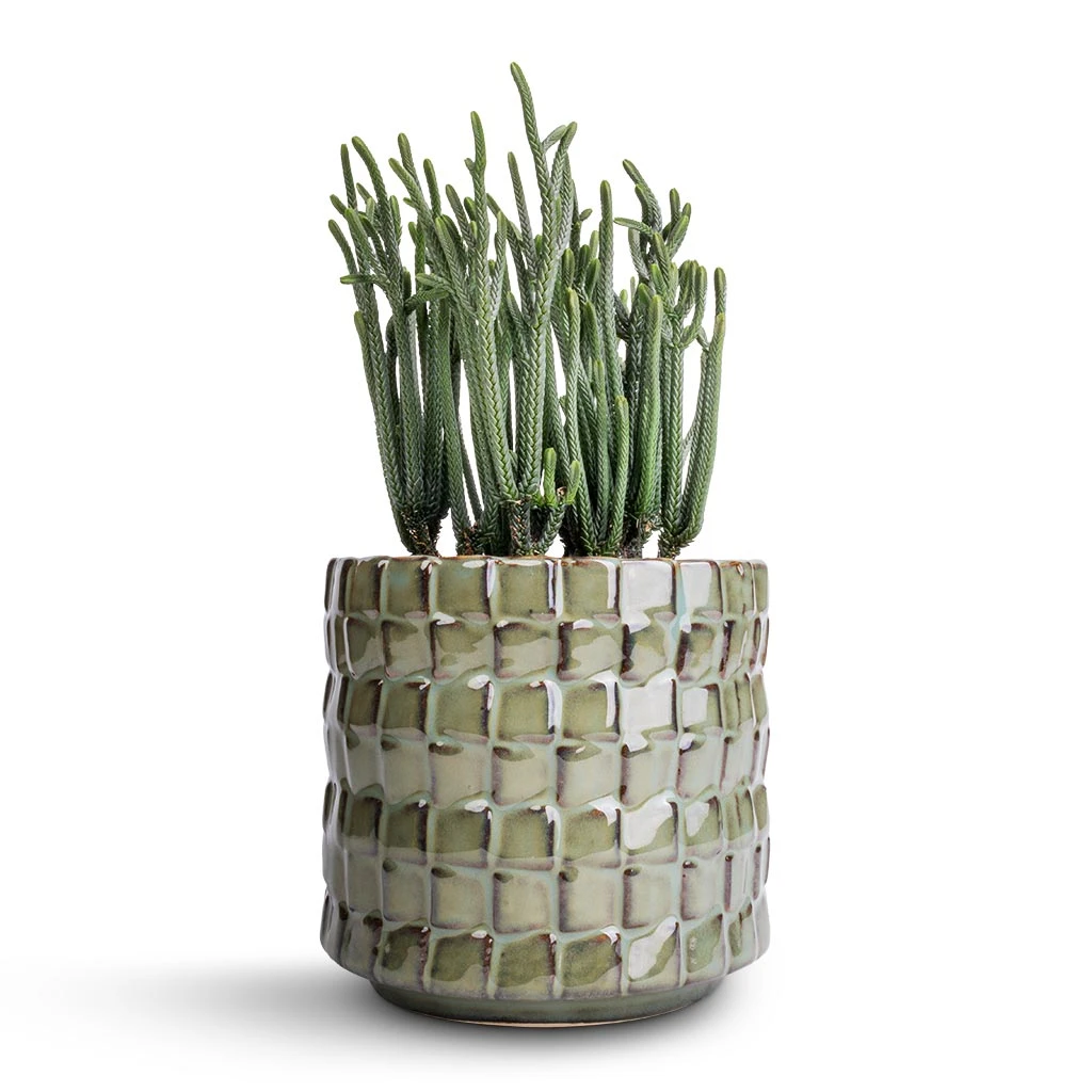 Stian Plant Pot - Moss Green 10 Stian Plant Pot - Moss Green - Image 8