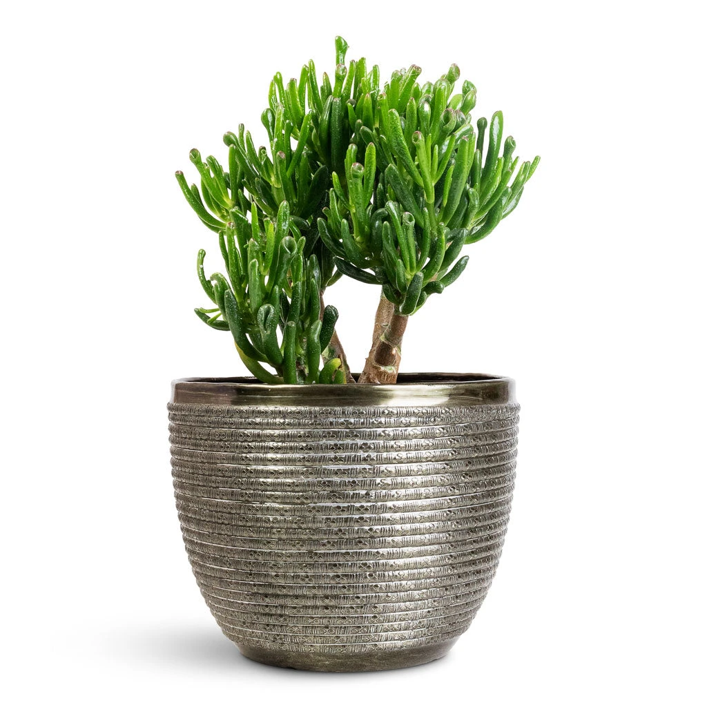 Elise Metal Plant Pot - Green 7 Elise Metal Plant Pot - Green - Image 5