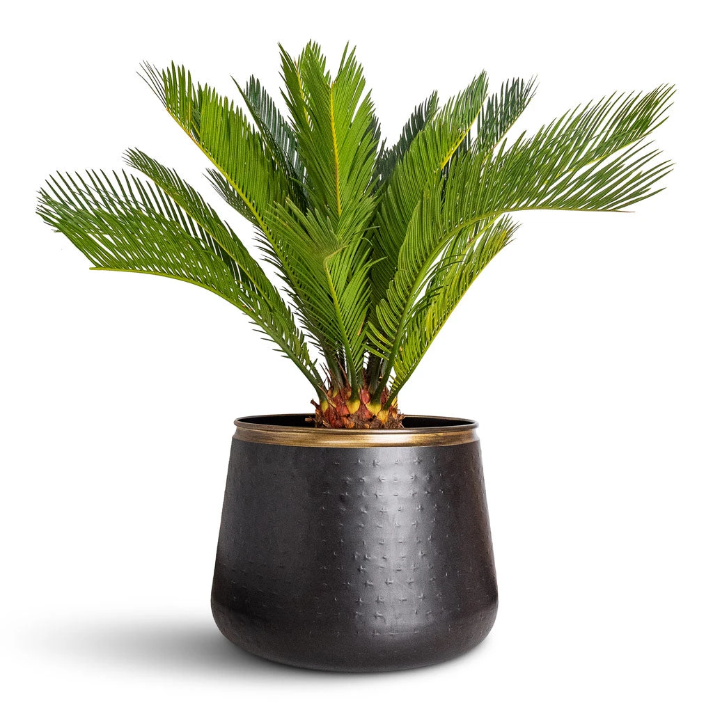 Sahara Plant Pot - Slate 6 Sahara Plant Pot - Slate - Image 4