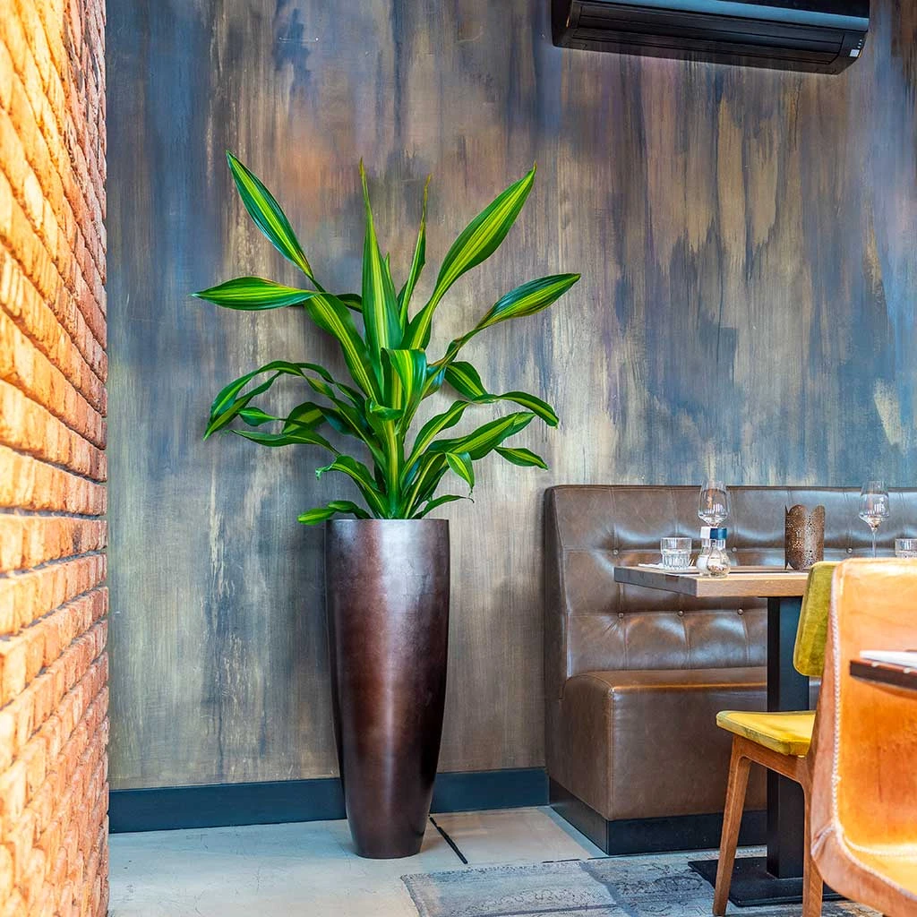 Metallic Partner Planter - Matt Coffee 4 Metallic Partner Planter - Matt Coffee - Image 2