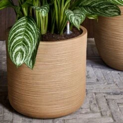 Dune Cylinder Planter - Almond -Plant Promotion Store Dune Cylinder Brown Beige Dune Partner Brown Beige 2