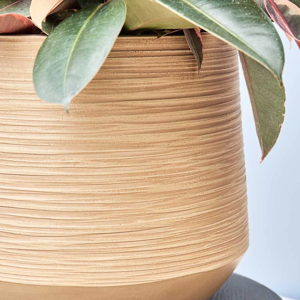 Dune Darcy Planter - Almond 4 Dune Darcy Planter - Almond - Image 2