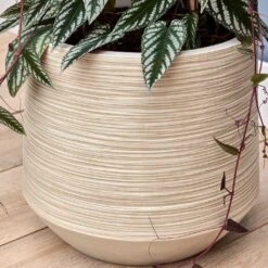 Dune Darcy Planter - Oat 16 Dune Darcy Planter - Oat -Plant Promotion Store Dune Darcy Oat close up