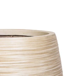 Dune Emperor Planter - Oat -Plant Promotion Store Dune Emperor Planter Oat DETAIL 3