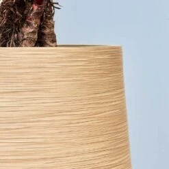 Dune Partner Planter - Almond 27 Dune Partner Planter - Almond -Plant Promotion Store Dune Partner Planter Almond Close Up 2 jpg