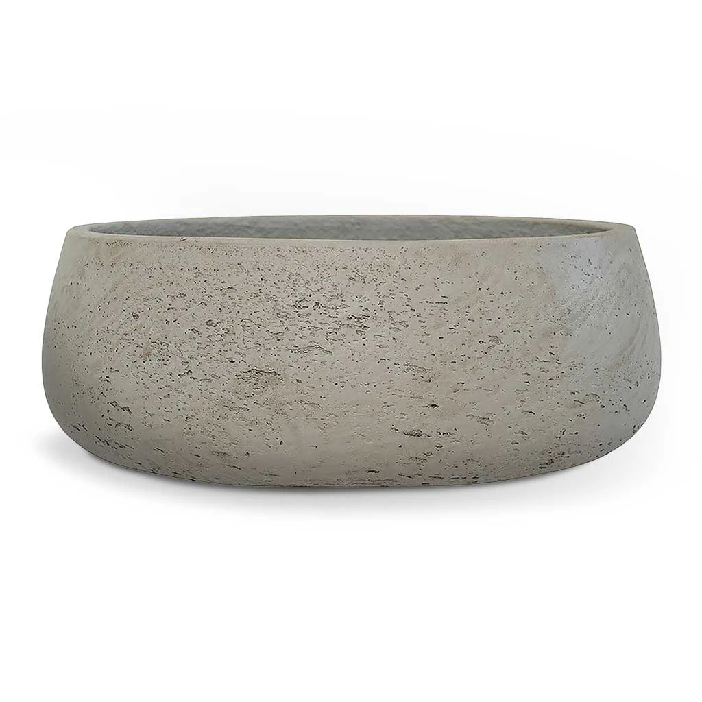 Eileen Plant Bowl - Grey Washed 3 Eileen Plant Bowl - Grey Washed