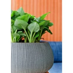 Eileen Ridged Plant Bowl - Dark Grey 11 Eileen Ridged Plant Bowl - Dark Grey -Plant Promotion Store Eileen Planter Ridged Dark Grey Texture
