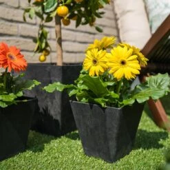 Ella Artstone Plant Pot - Black -Plant Promotion Store Ella Artstone Plant Pot Black 2