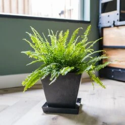 Ella Artstone Plant Pot - Black -Plant Promotion Store Ella Artstone Plant Pot Black 3