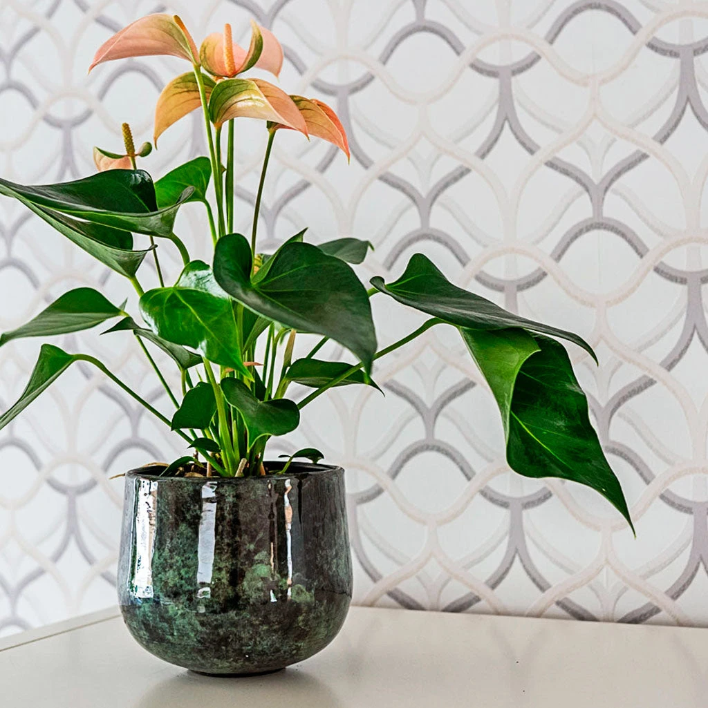 Emmie Metal Plant Pot - Mystic Green 4 Emmie Metal Plant Pot - Mystic Green - Image 2