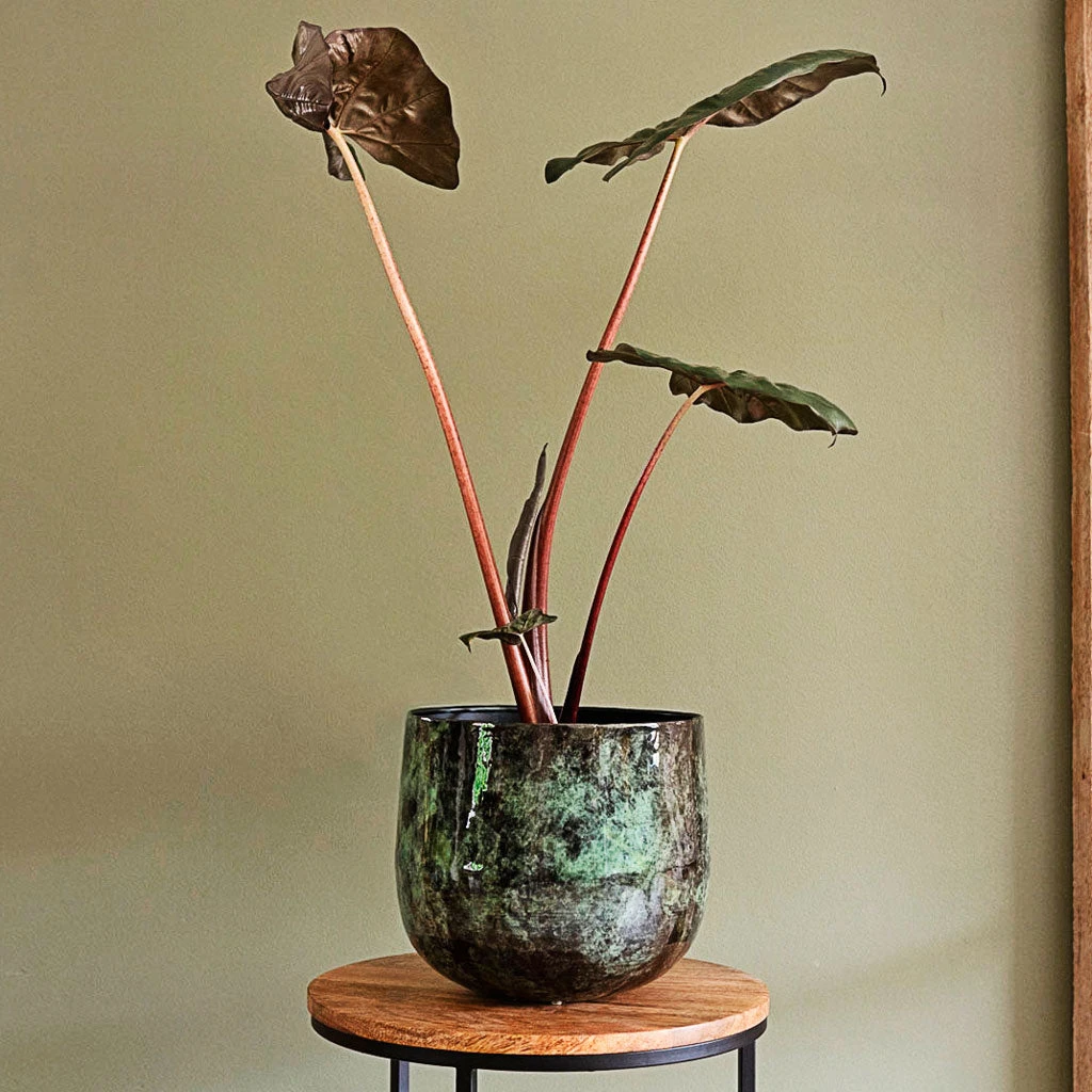 Emmie Metal Plant Pot - Mystic Green 9 Emmie Metal Plant Pot - Mystic Green - Image 7