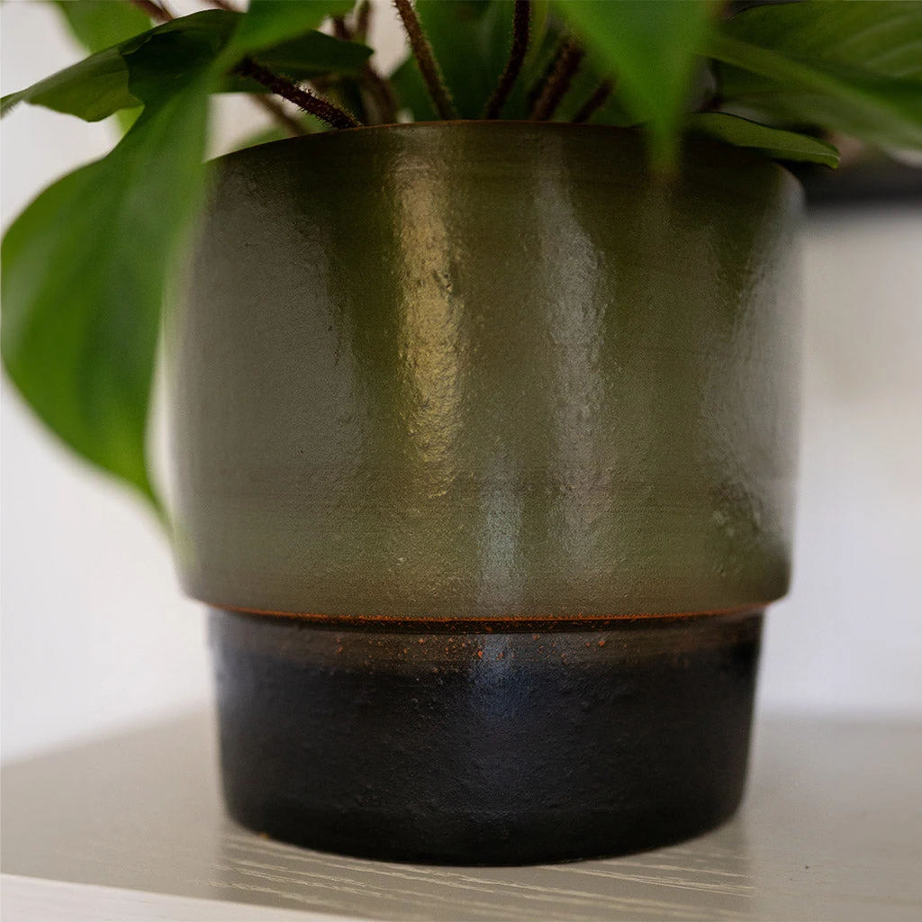 Erik Plant Pot - Dark Olive 9 Erik Plant Pot - Dark Olive - Image 7