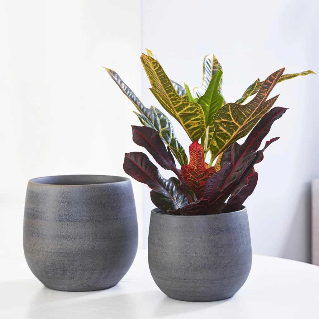 Esra Plant Pot - Graphite 18 Esra Plant Pot - Graphite - Image 16