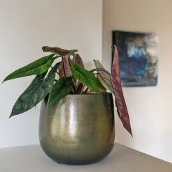 Esra Plant Pot - Shiny Green -Plant Promotion Store Esra shiny green 01