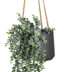 Patt Hanging Plant Pot - Black Washed -Plant Promotion Store Eucalyptus Hanging Bush Artificial 75cm Patt Hanging Pot Black Washed 20x17cm 2