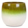 Fem Plant Pot - Pear Green -Plant Promotion Store Fem Pot Pear Green 15x13cm