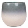 Fem Plant Pot - Sky Blue 2 Fem Plant Pot - Sky Blue -Plant Promotion Store Fem Pot Sky Blue 15x13cm