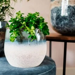 Fem Plant Pot - Sky Blue -Plant Promotion Store Fem sky blue Marino beach 03