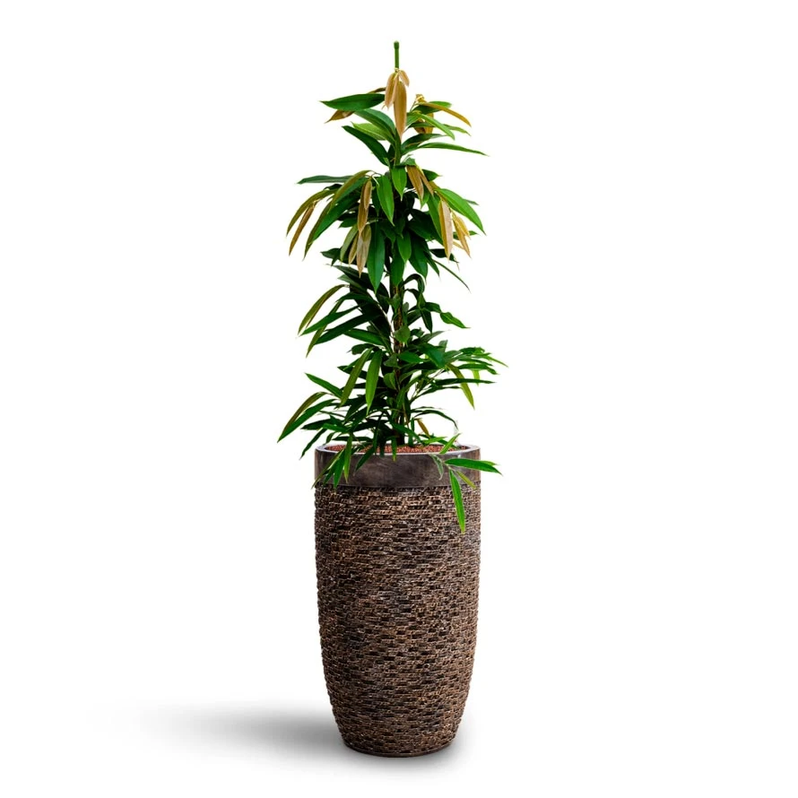 Luxe Lite Layer Partner Planter - Bronze 12 Luxe Lite Layer Partner Planter - Bronze - Image 10