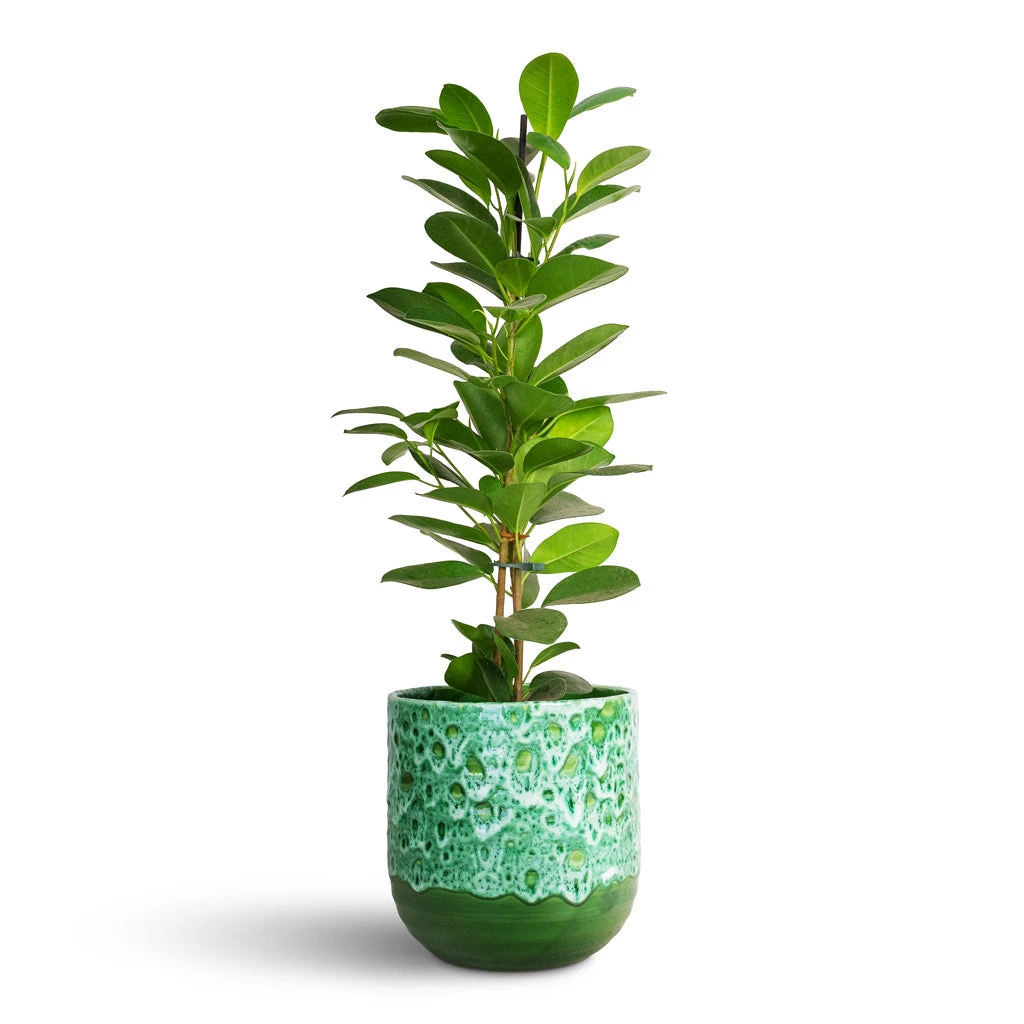 Ocean Glaze Plant Pot - Emerald 7 Ocean Glaze Plant Pot - Emerald - Image 5