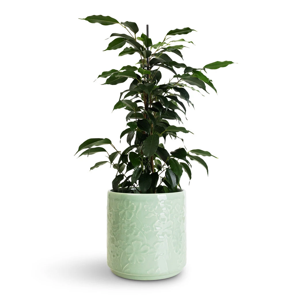 Betsy Embossed Plant Pot - Floral Mint 6 Betsy Embossed Plant Pot - Floral Mint - Image 4