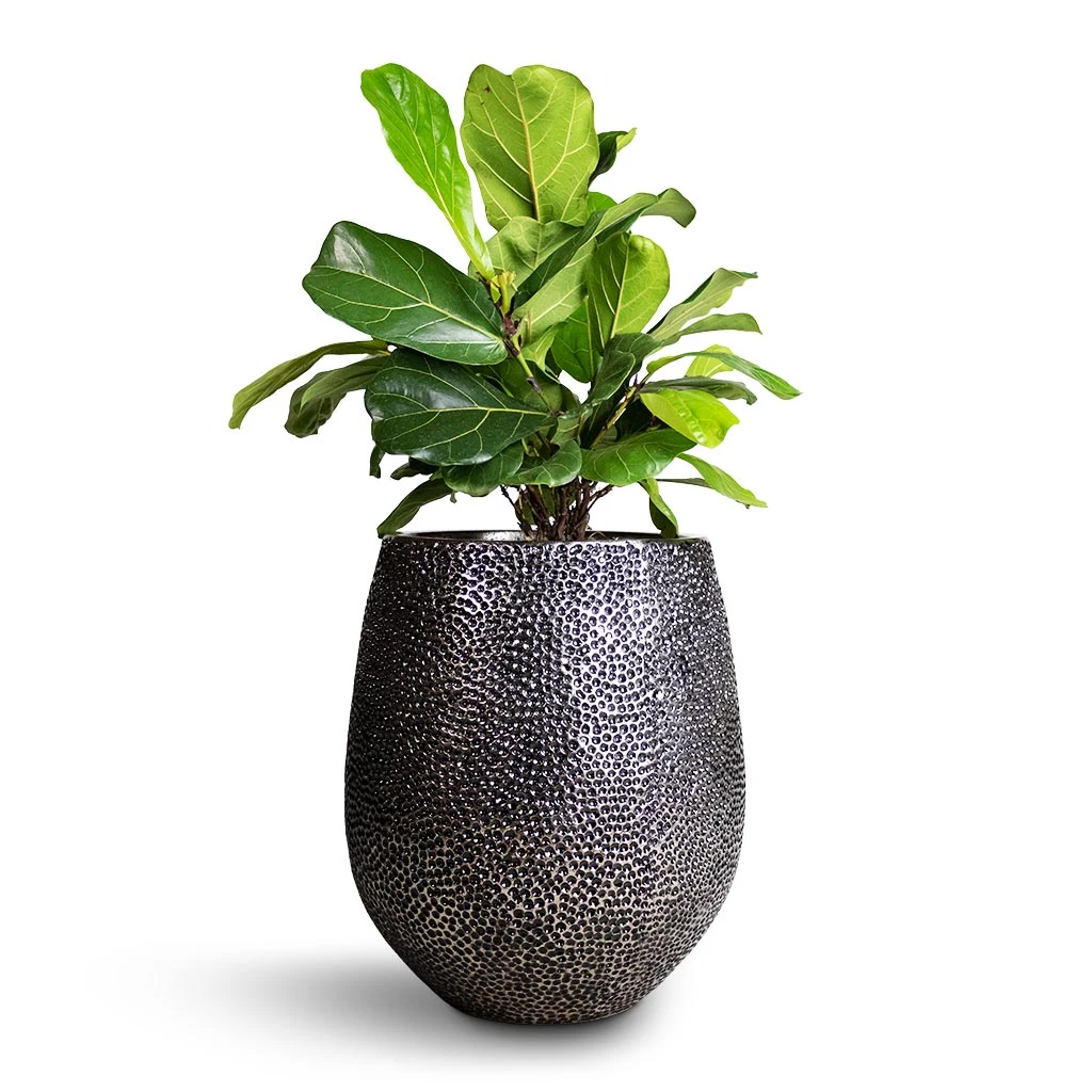Opus Hit Darcy Planter - Silver 13 Opus Hit Darcy Planter - Silver - Image 11