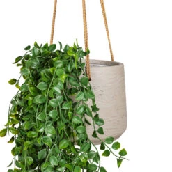 Patt Hanging Plant Pot - Grey Washed 23 Patt Hanging Plant Pot - Grey Washed -Plant Promotion Store Ficus pumila Hanging Bush Artificial 80cm 6 stems Patt Hanging Pot Grey Washed 20x17cm 2