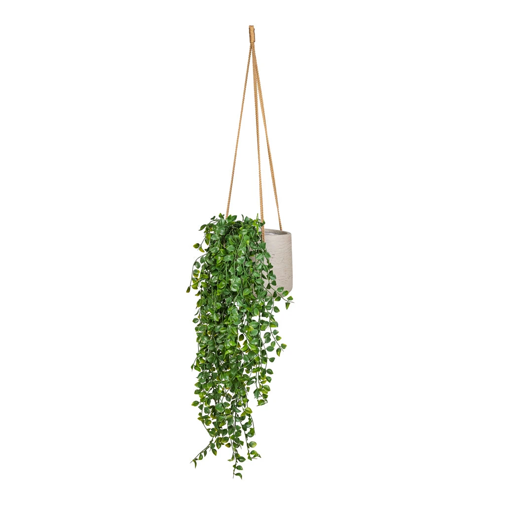 Patt Hanging Plant Pot - Grey Washed 11 Patt Hanging Plant Pot - Grey Washed - Image 9