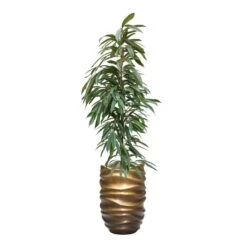 Gradient Lee Partner Planter - Matt Honey 20 Gradient Lee Partner Planter - Matt Honey -Plant Promotion Store FicusAmstelKing Hydroculture GradientLeePartnerPlanter MattHoney 891a2ee2 749a 461d 90b9 cabd7f9003d0
