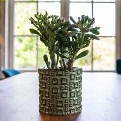 Fiene Plant Pot - Green -Plant Promotion Store Fiene Green 1