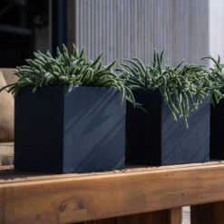 Fleur Natural Planter - Black -Plant Promotion Store FleurNaturalPlanter Black 5