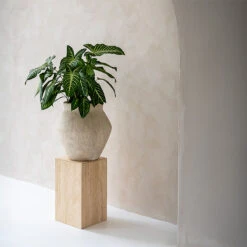 Fleuri Mineral Planter - Travertine 15 Fleuri Mineral Planter - Travertine -Plant Promotion Store Fleuri Mineral Planter Travertine Lifestyle 2