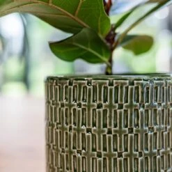 Flor Plant Pot - Green 16 Flor Plant Pot - Green -Plant Promotion Store Flor Green 2 1