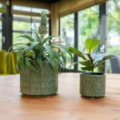 Flor Plant Pot - Green 22 Flor Plant Pot - Green -Plant Promotion Store Flor Green 2 2