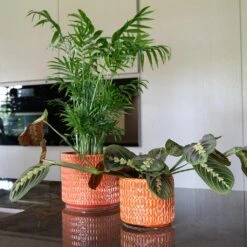 Flor Plant Pot - Orange -Plant Promotion Store Flor Orange 2